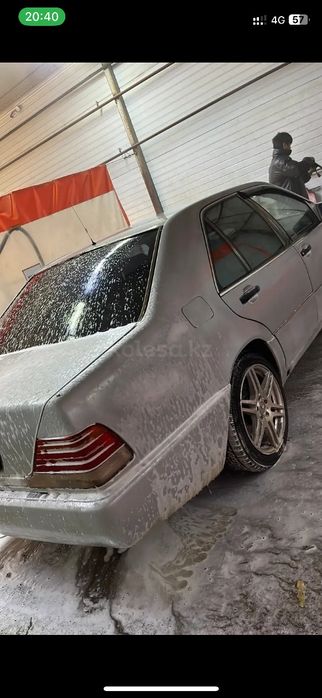 Продам кабана срочно