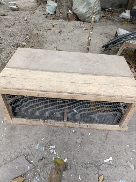 Ящик для перепелов