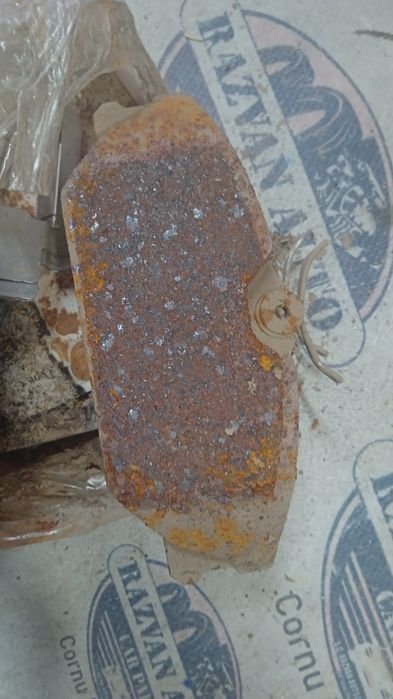 placute fata  renault clio