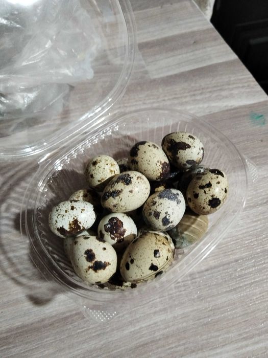 Перепелиные яйца без ГМО и антибиотиков