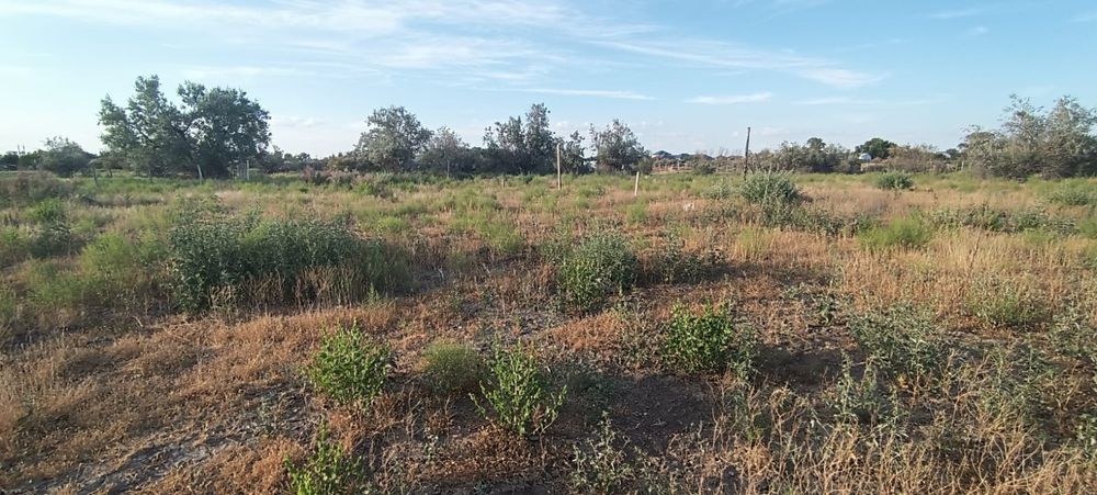 Земельный участок мкр Коктем