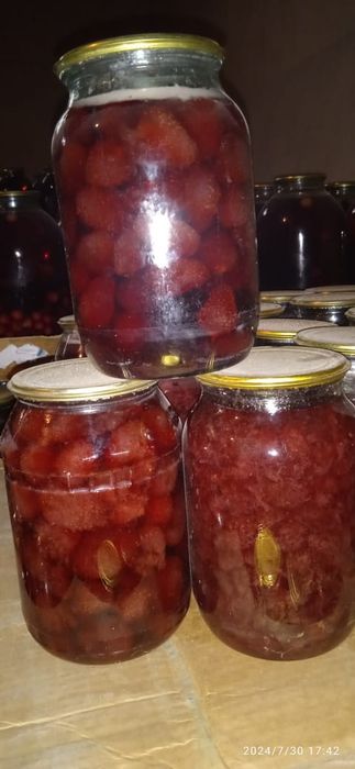 Наш адрес. Сайрам Менделеева 8,