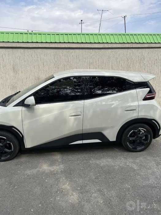 BYD Seagull Naqt va Rassrochkaga