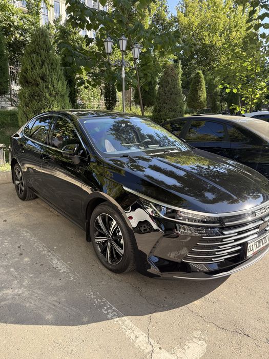 BYD Chazor Full 6 позиция