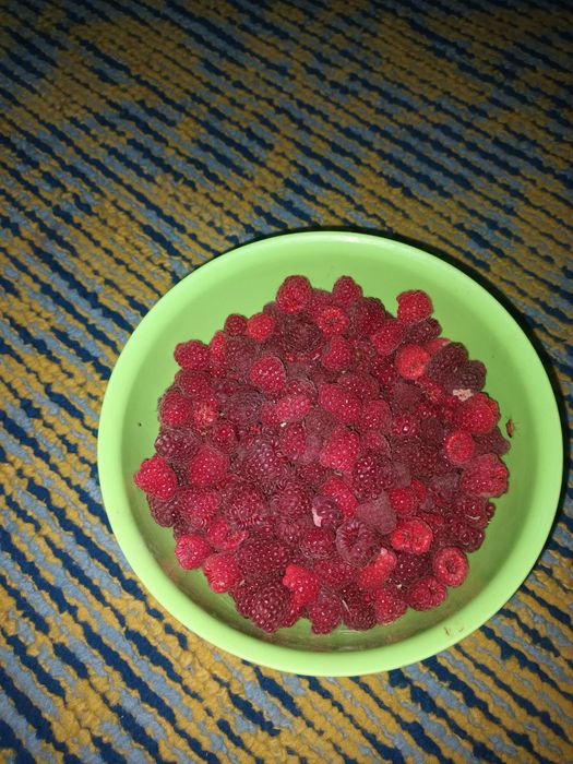 Малина кучатлари