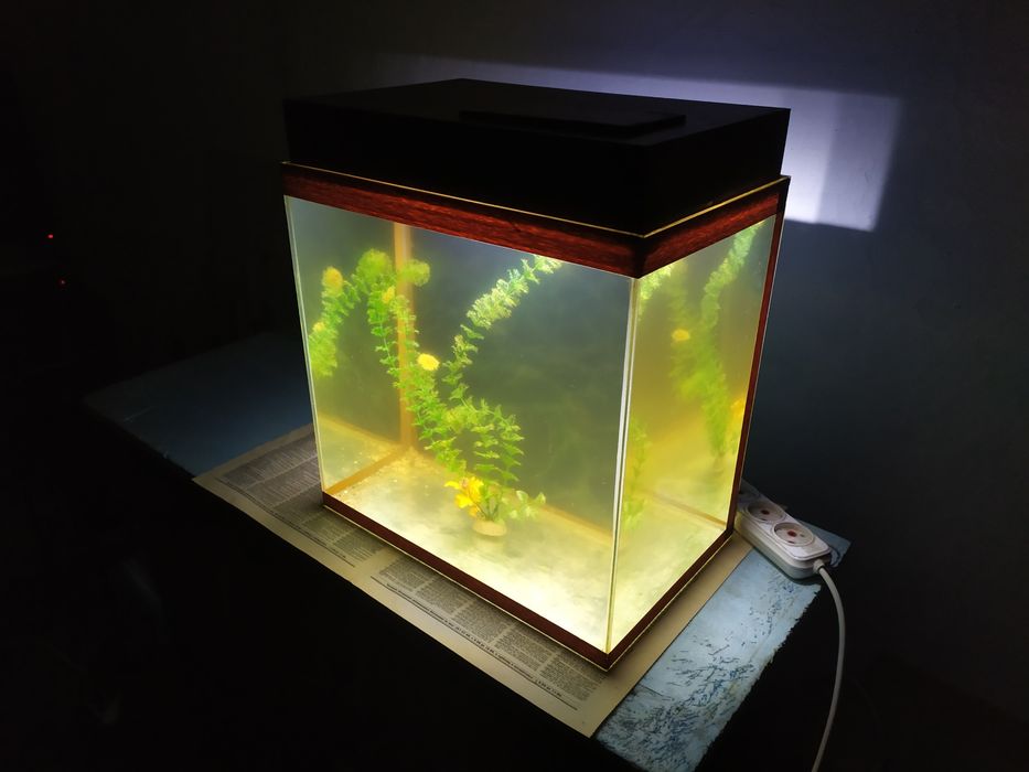 Аквариум 41л + бонусы и рыбки.