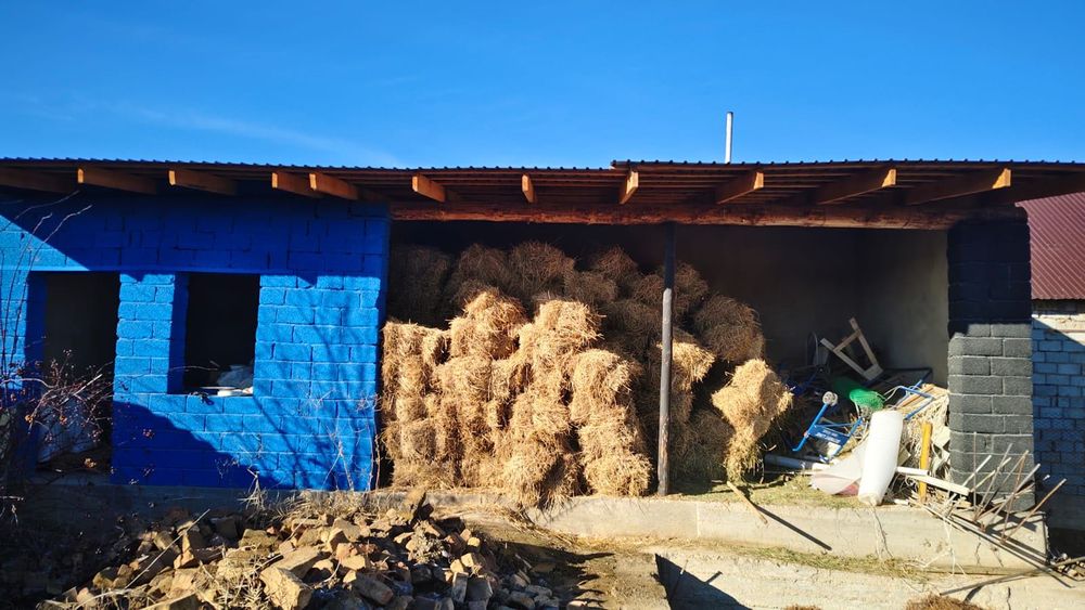 жонышка, пресс шоп.