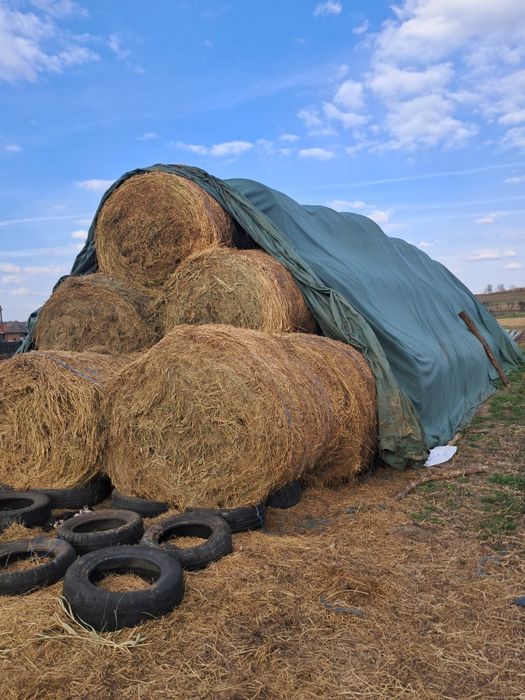 Vând baloti fan și lucerna