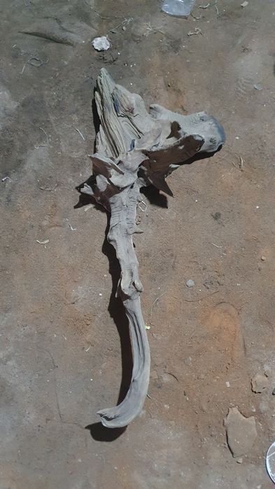 коряга декорация в аквариум