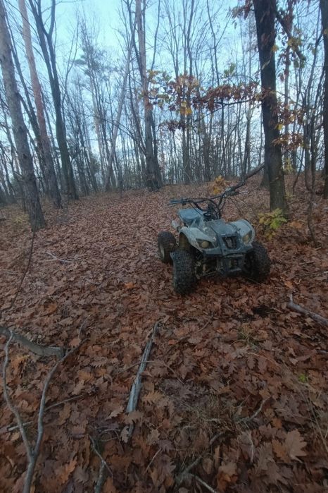 Vand atv 125cc 3+1 sau dezmembrez