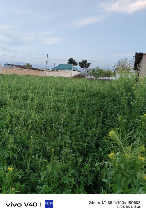 Hamma sharoiti bor Yer