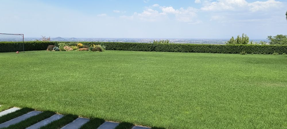 Елит Гардън -озеленяване и дизайн