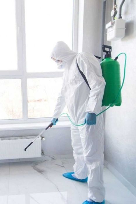 Servicii de DEZINSECTIE si Deratizare - Bucuresti - Ilfov