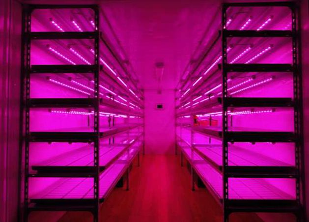 Светодиодное фито освещение для цветов и растений LED фонарь-планка