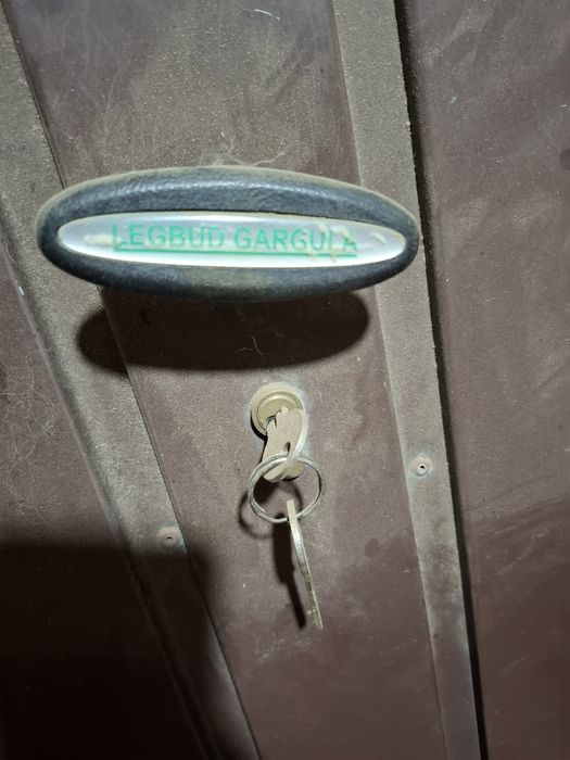 Vând poarta de garaj