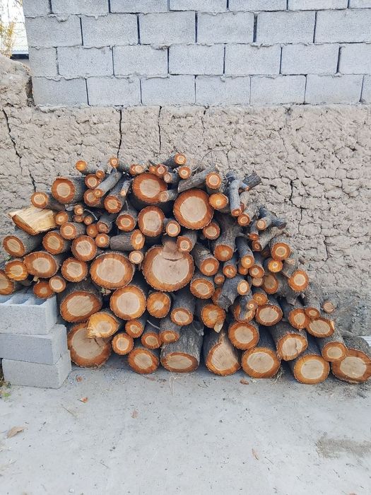Oʻrik daraxti tupi bilan sotiladi va quruq oʻtin sotiladi