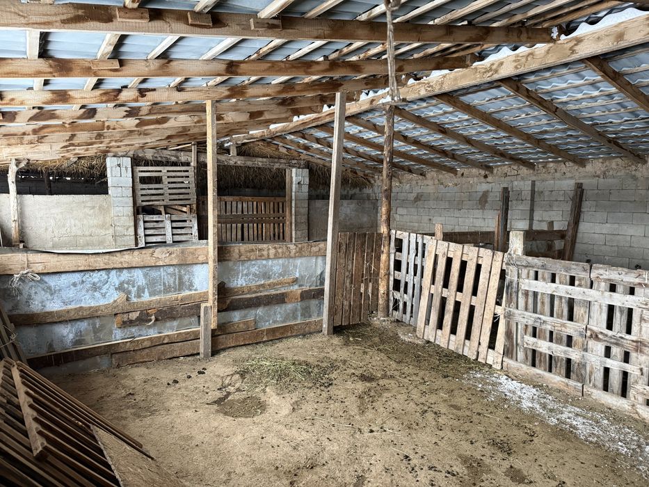 Продам ферму (фазенду)