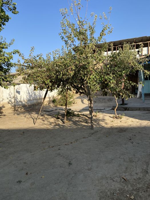 СРОЧНО!! Чукурсой 4,9 соток. 110.000 старт. КЕЛИШИЛАДИ