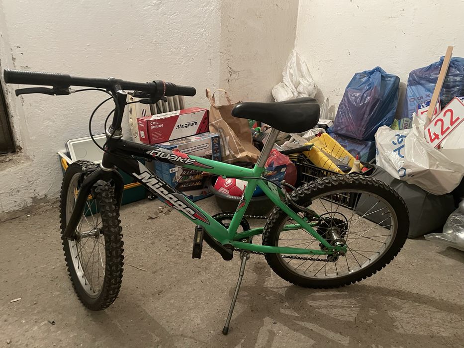 Bicicleta Roti 20”