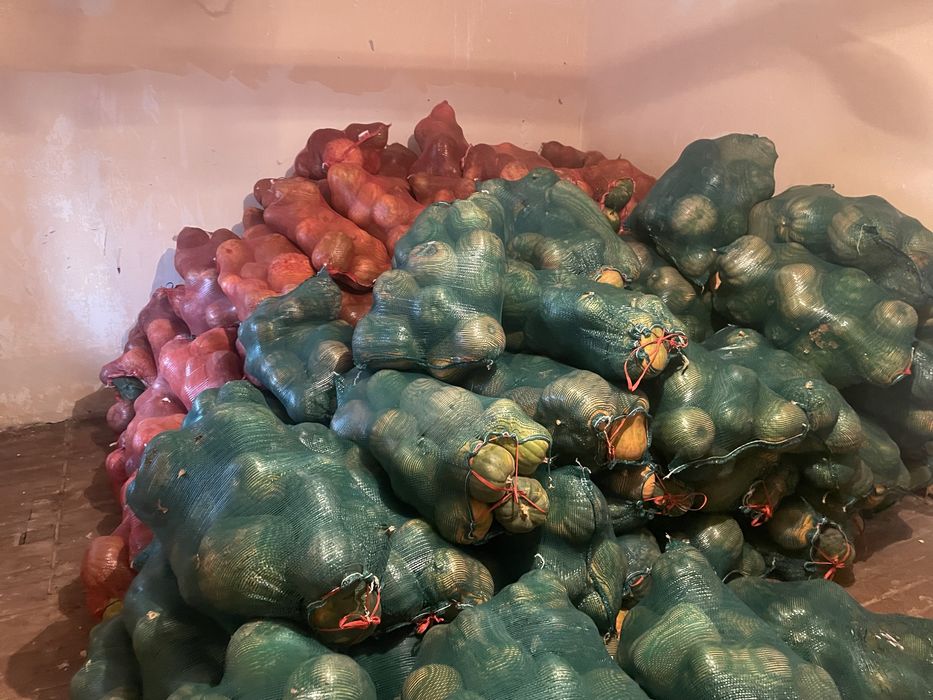 Тыква в караганде