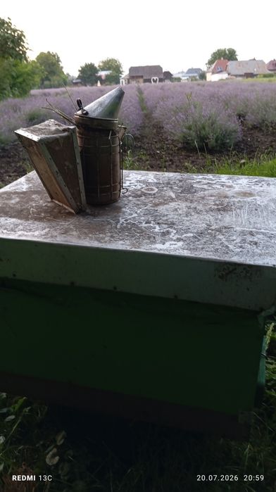 Miere de lavanda