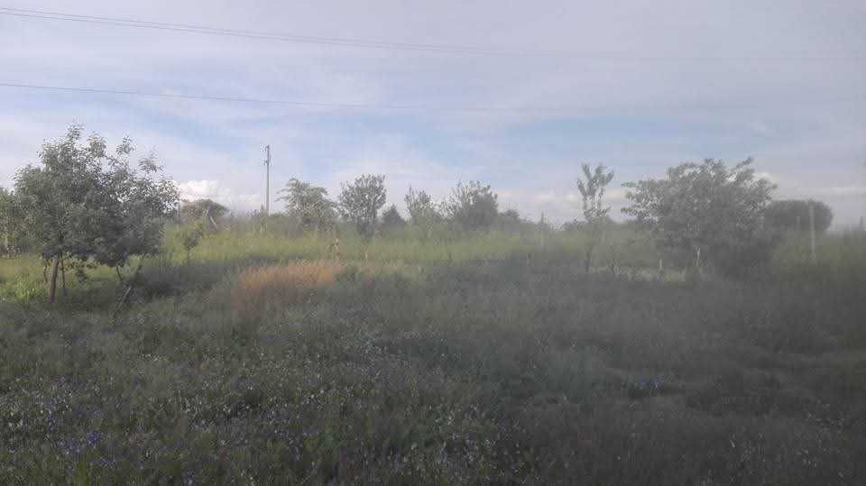 Парцел в регулация с. Селянин 620 кв м.