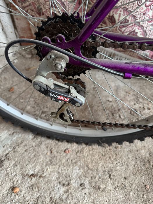 Велосипед Apollo Siren и Vogue Townsend