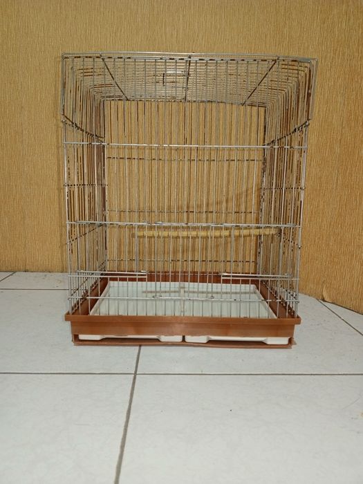 Qafas sotiladi holati yaxshi