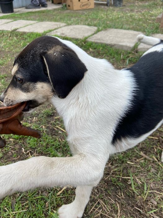 Только ответственным людям