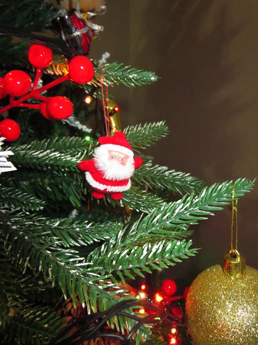 Фотоаппарат Canon IXUS 132