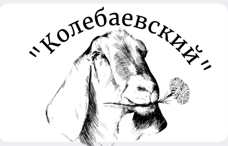 Козий сыр своими руками