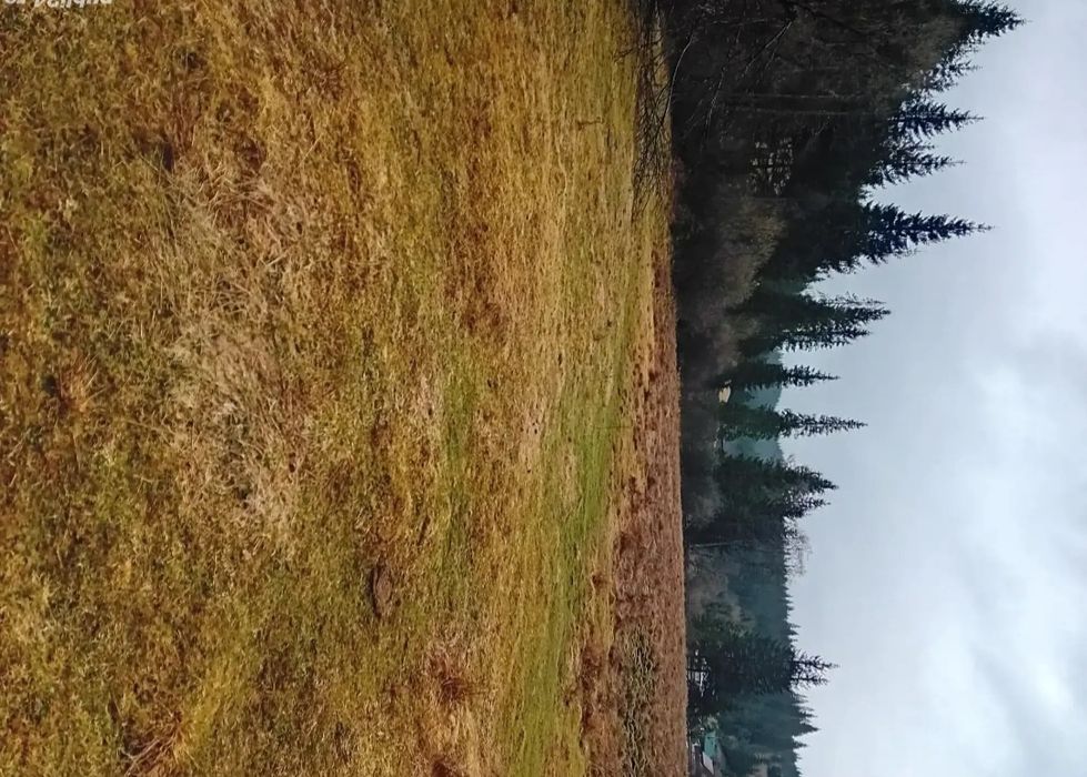 Teren de vinzare,si Casă cu anexe