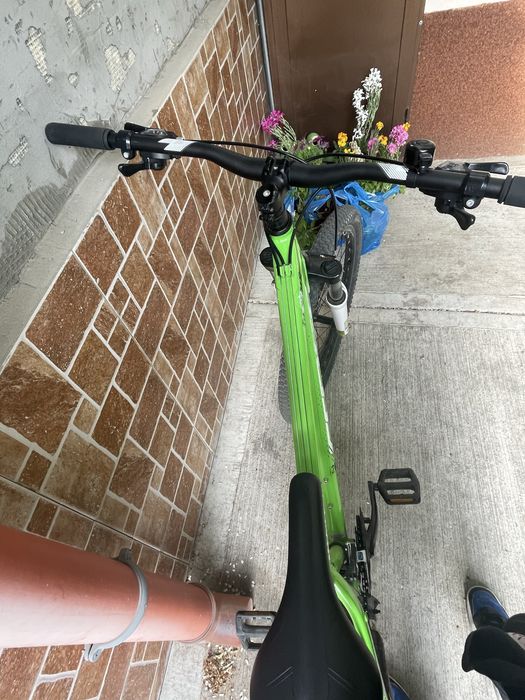 Bicicleta dexter cross verde