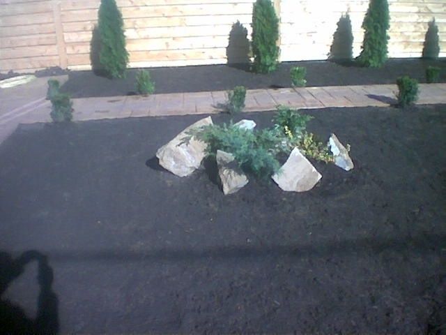 Amenajari terase și grădini. Curățare si toaletare pomi. Întreținere