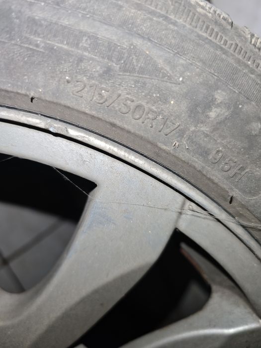 Roti de Iarna Laguna III