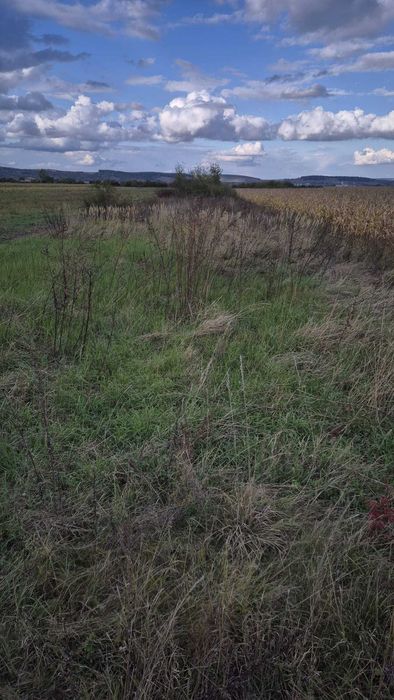 Teren extravilan 1500 mp – de vânzare