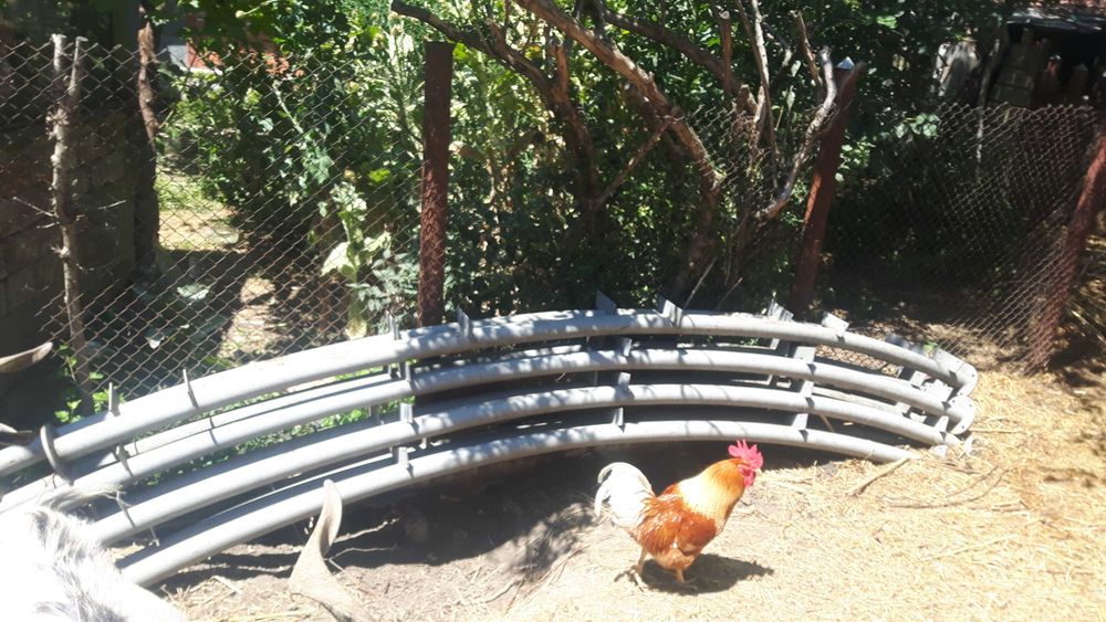 Дава се под наем Склад в Мизия - 210 кв.м за 3570 € - Снимка #2