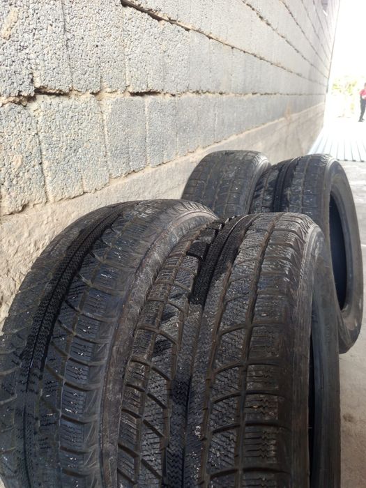 Зимние шины Triangle