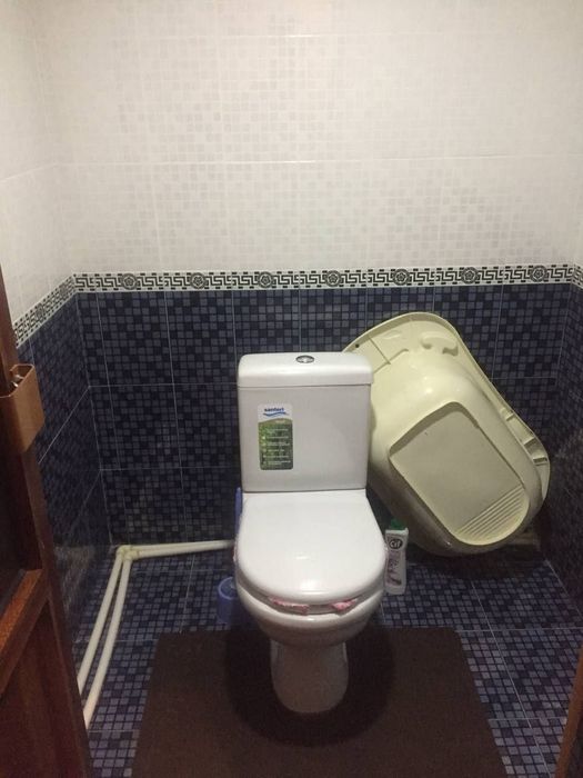 Кумушконда Ховли сотилади, Ёки Квартирага обмен.