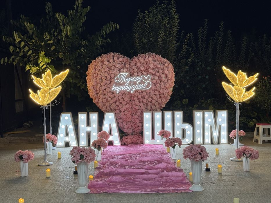 Выписка из роддом , Happy brithday, Арка Анашым / ӘКЕШІМ/