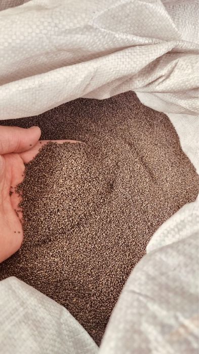 Жонышка тукымы 111