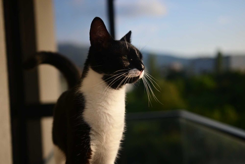 Обектив Sigma 18-35mm f/1.8 DC, F Mount (за Nikon)