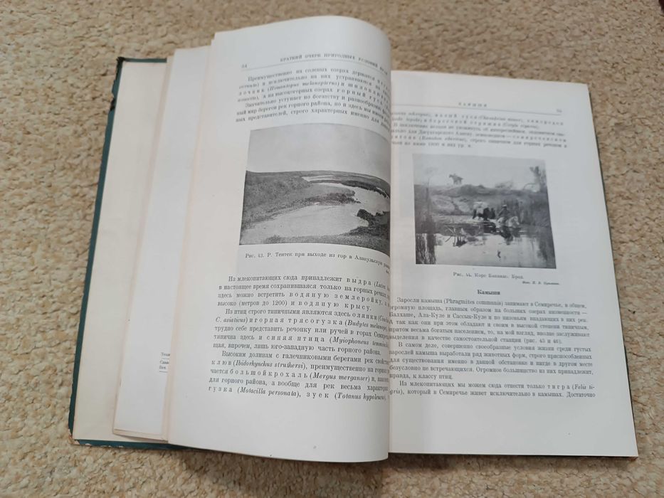 1936 Млекопитающие Семиречья