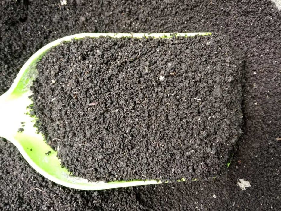 Тоза, сифатли Биогумус сотилади.