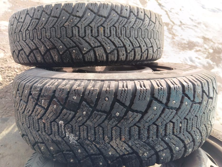 Зимняя резина tunga norbway