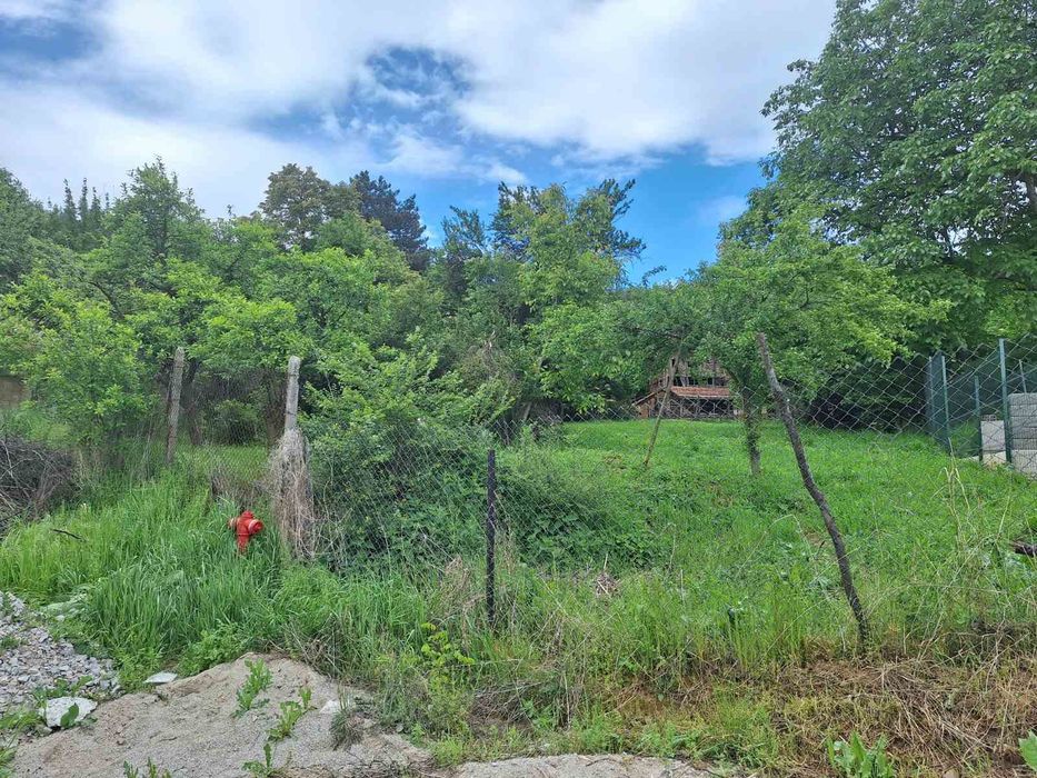 УПИ в с. Дрен, община Радомир