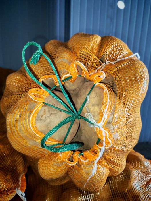 Картошка одборны