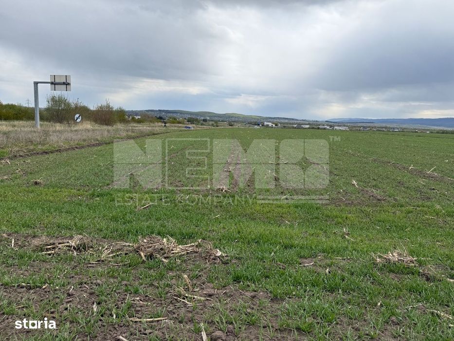 Teren extravilan | Horodnic de Sus – zona Osoi | 50 de Ari