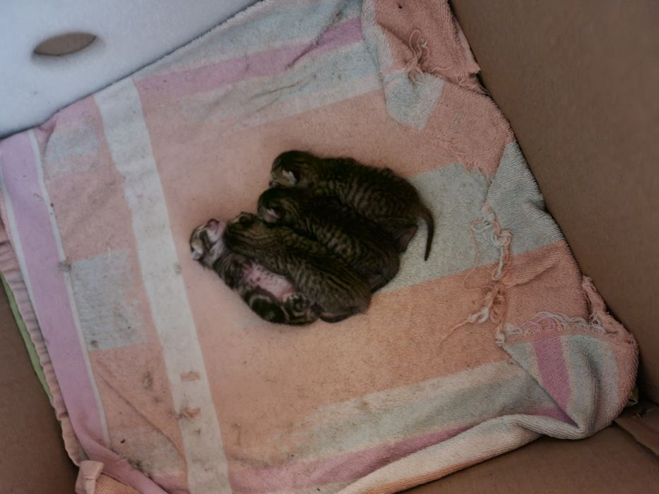 Мирзо-Улугбекский район в отличном ЖК квартира 1 комнатная 2 окна