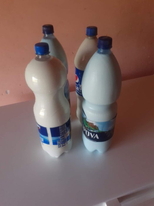 Vând branza sărată 2025 de capra